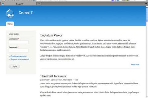 Preview of Bartik theme for Drupal 7