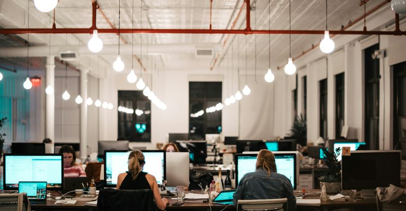 People sitting in an open-plan office in front of computers.