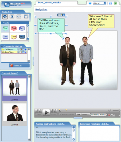 ReviewBasic Screenshot